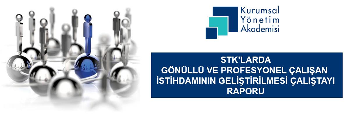 İLKE Kurumsal Yönetim akademisi STK'larda gönüllü ve Profesyonel Çalışan İstihdamının Geliştirilmesi Çalıştayı Raporu